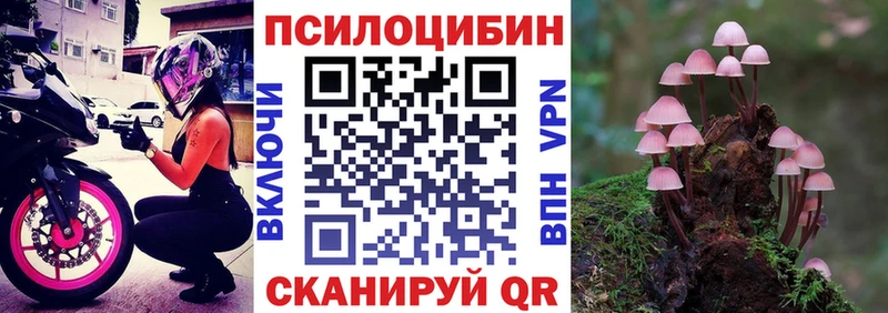Псилоцибиновые грибы Magic Shrooms  OMG tor  Ногинск 