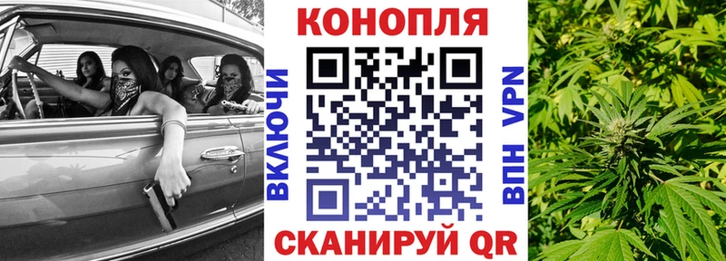 Каннабис семена  Ногинск 